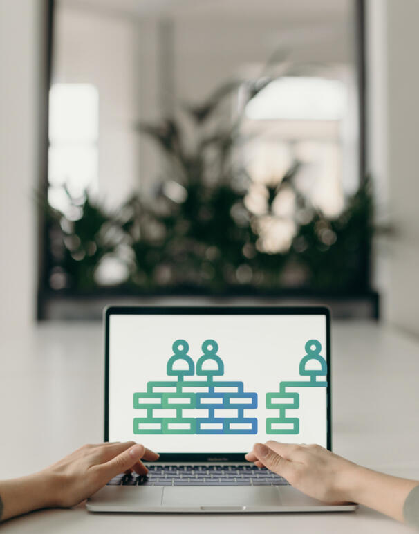 Estructura Organizacional